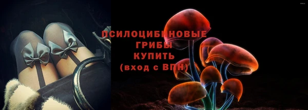 ГАЛЛЮЦИНОГЕННЫЕ ГРИБЫ Арсеньев