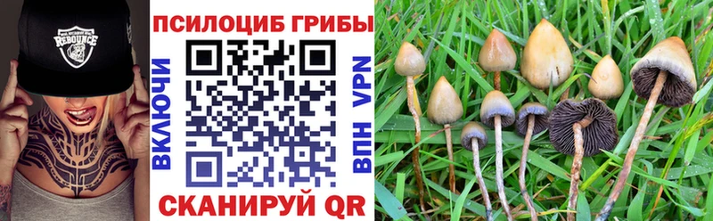 Галлюциногенные грибы Psilocybine cubensis  где можно купить   Дорогобуж 